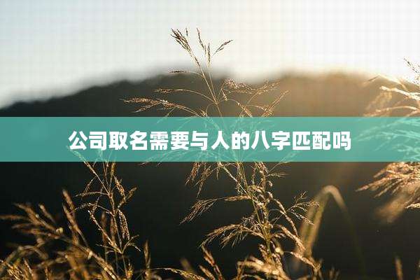 公司取名需要与人的八字匹配吗