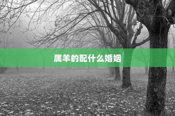 属羊的配什么婚姻