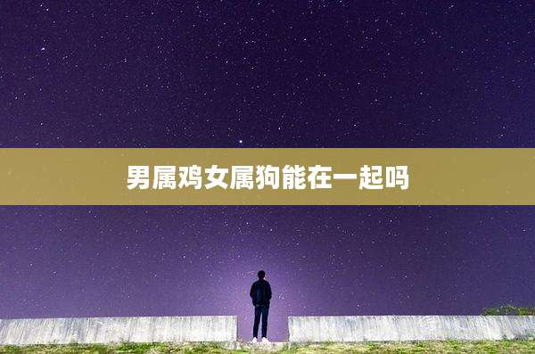 男属鸡女属狗能在一起吗