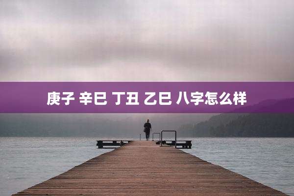 庚子 辛巳 丁丑 乙巳 八字怎么样