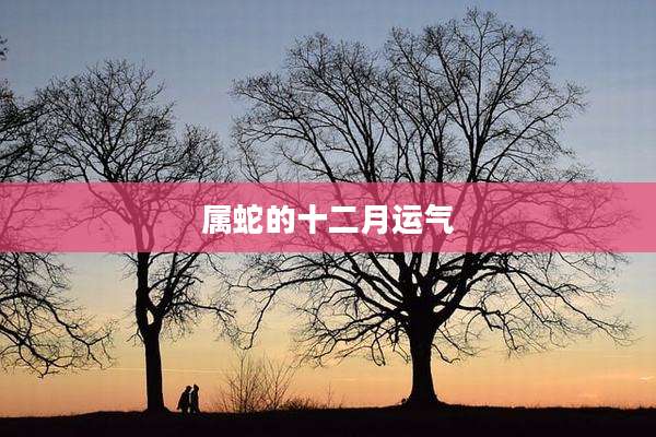 属蛇的十二月运气