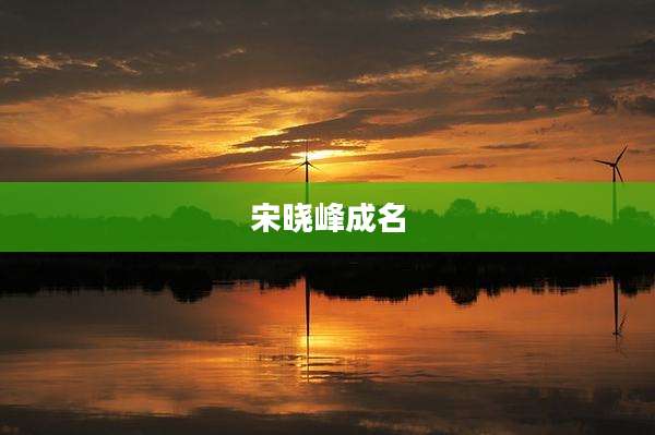 宋晓峰成名
