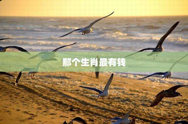 那个生肖最有钱