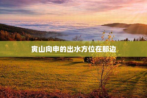 寅山向申的出水方位在那边