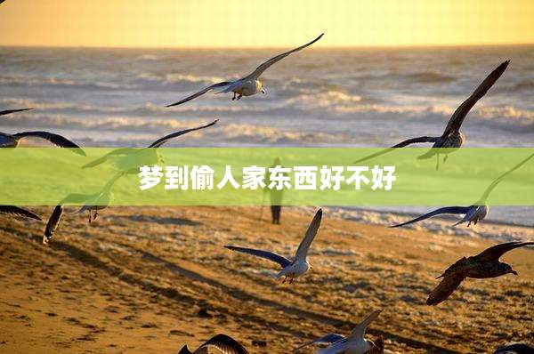 梦到偷人家东西好不好