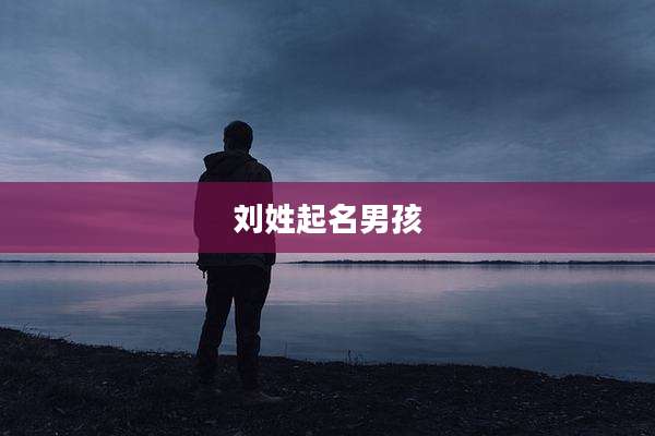 刘姓起名男孩