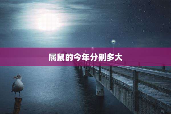 属鼠的今年分别多大