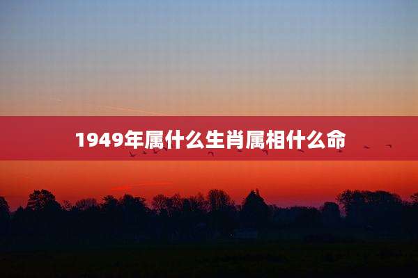 1949年属什么生肖属相什么命