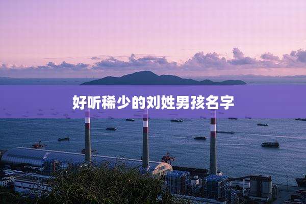 好听稀少的刘姓男孩名字