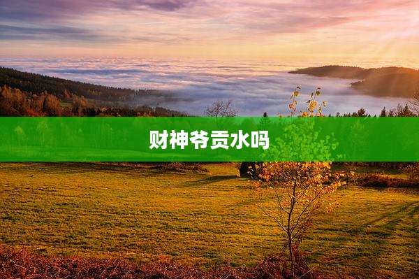 财神爷贡水吗
