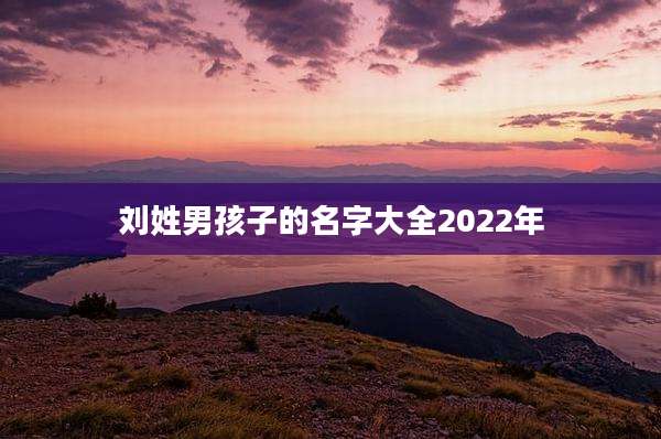 刘姓男孩子的名字大全2022年