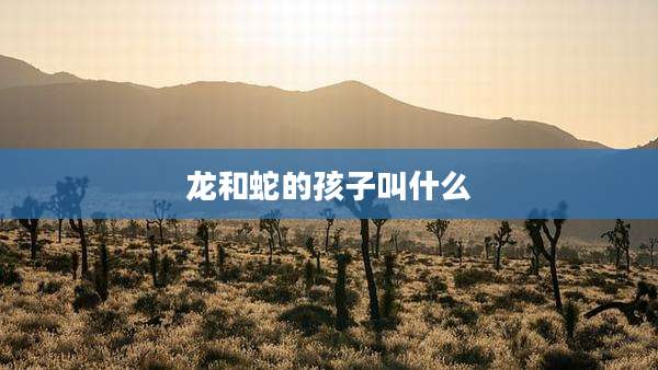 龙和蛇的孩子叫什么
