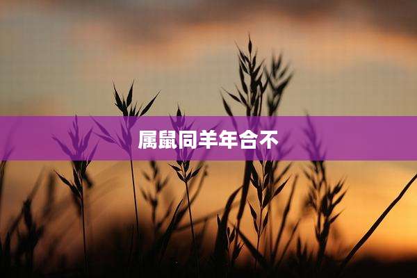 属鼠同羊年合不