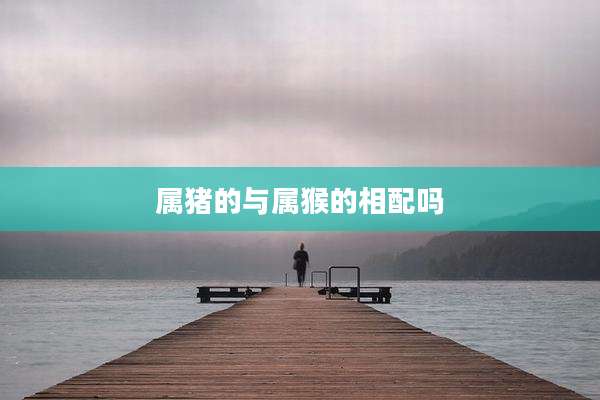 属猪的与属猴的相配吗