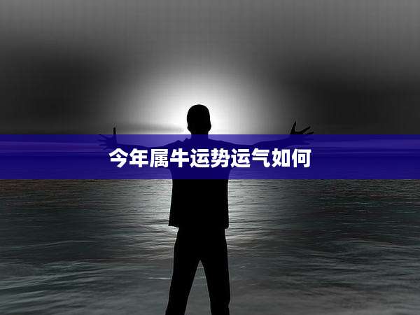 今年属牛运势运气如何