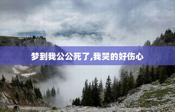 梦到我公公死了,我哭的好伤心