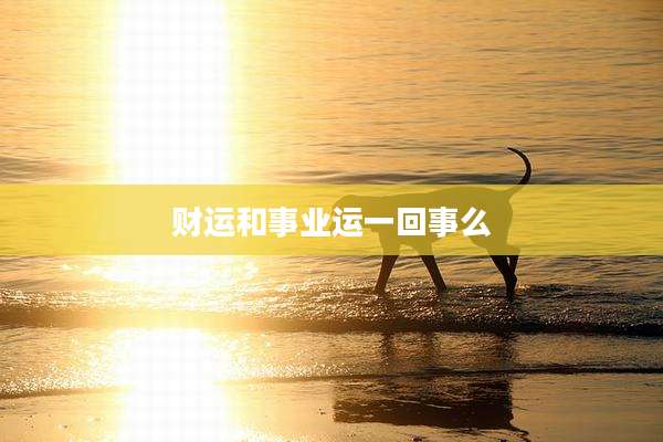 财运和事业运一回事么