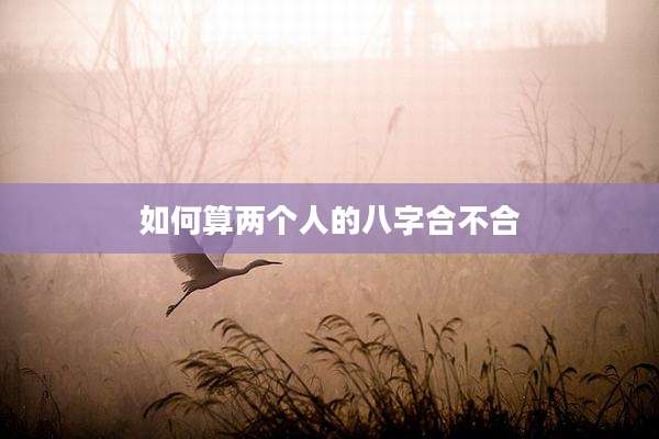 如何算两个人的八字合不合