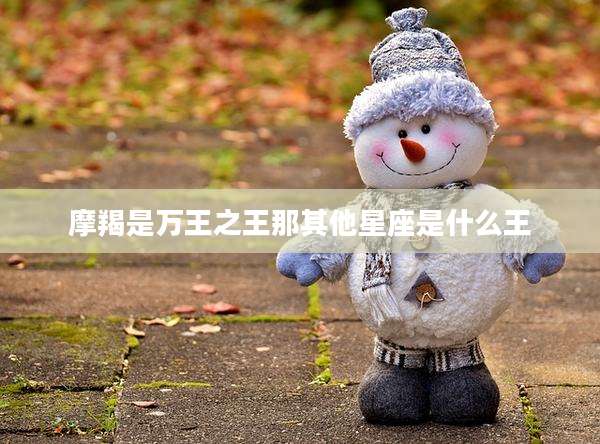 摩羯是万王之王那其他星座是什么王