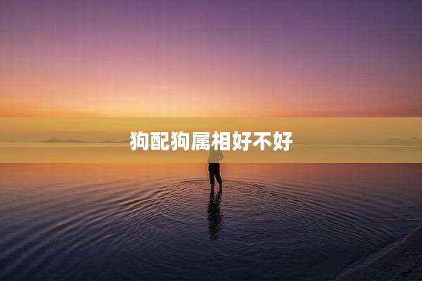狗配狗属相好不好