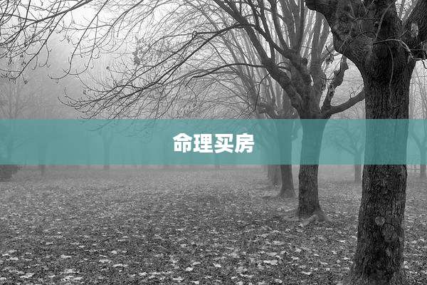命理买房