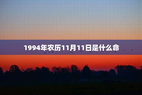 1994年农历11月11日是什么命