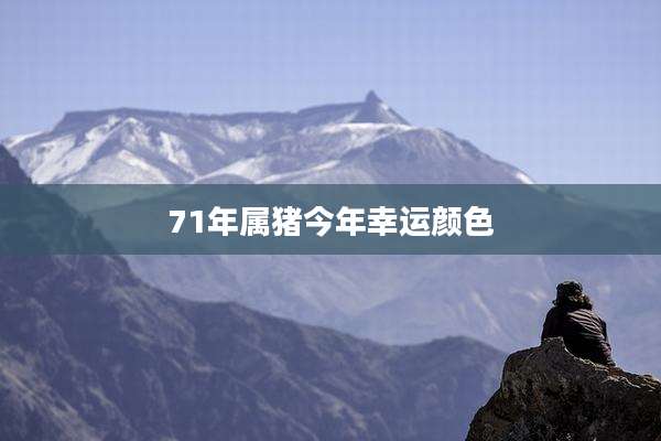 71年属猪今年幸运颜色