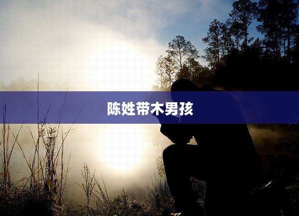 陈姓带木男孩
