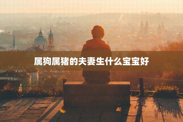 属狗属猪的夫妻生什么宝宝好