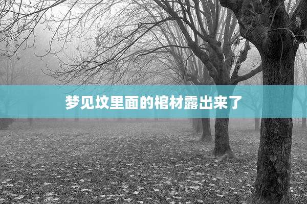 梦见坟里面的棺材露出来了