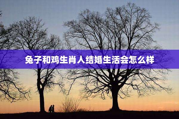兔子和鸡生肖人结婚生活会怎么样