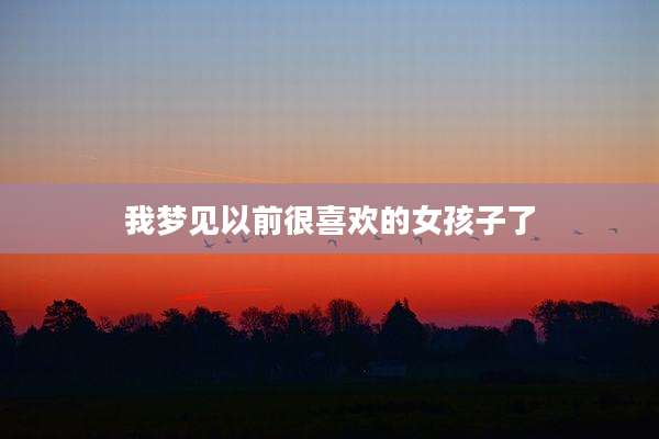 我梦见以前很喜欢的女孩子了