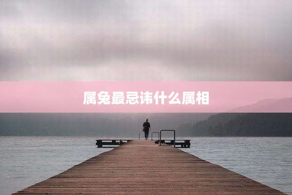属兔最忌讳什么属相