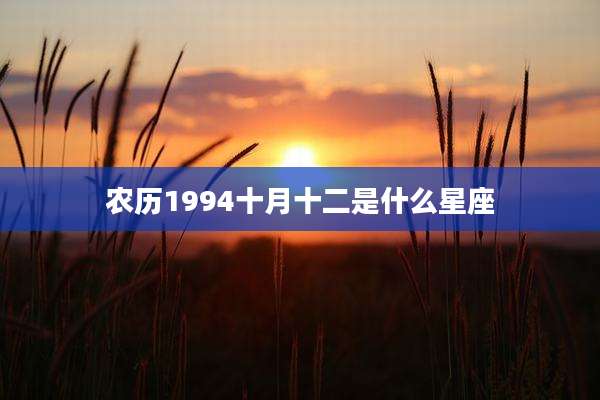 农历1994十月十二是什么星座