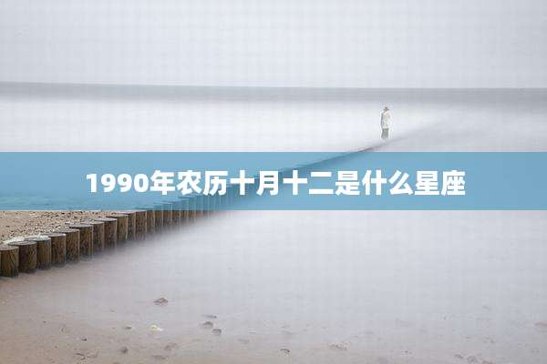 1990年农历十月十二是什么星座