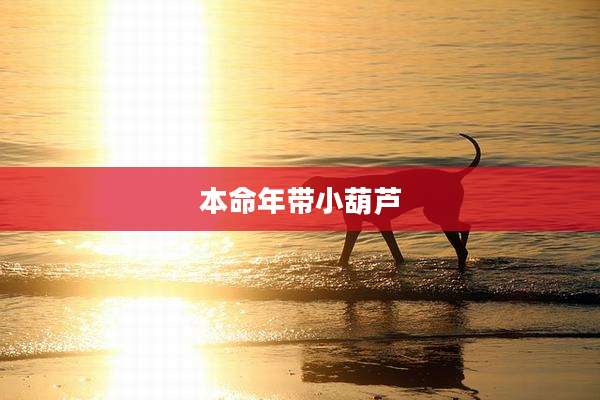 本命年带小葫芦