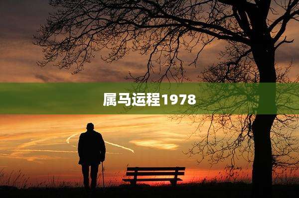 属马运程1978