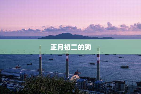 正月初二的狗