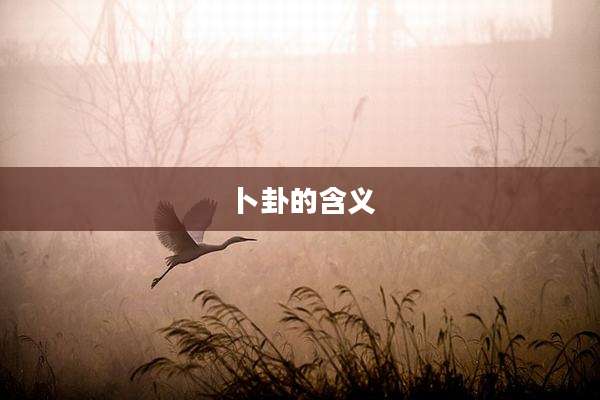 卜卦的含义
