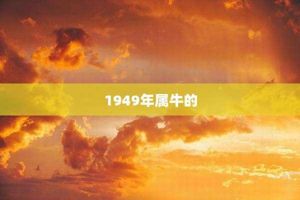 1949年属牛的
