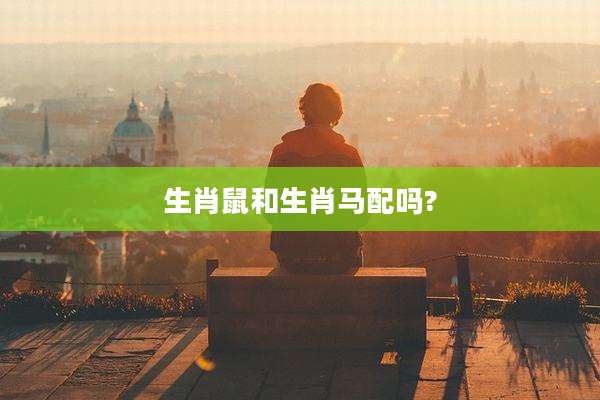 生肖鼠和生肖马配吗?
