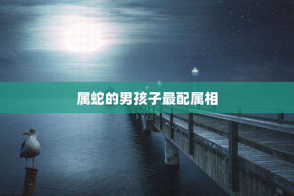 属蛇的男孩子最配属相