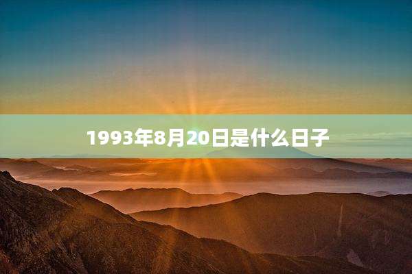 1993年8月20日是什么日子