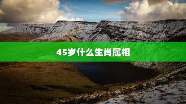 45岁什么生肖属相