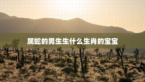 属蛇的男生生什么生肖的宝宝