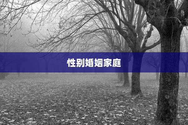 性别婚姻家庭