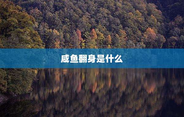 咸鱼翻身是什么