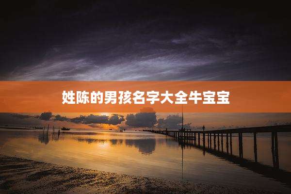 姓陈的男孩名字大全牛宝宝
