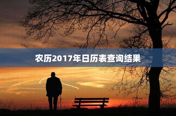 农历2017年日历表查询结果