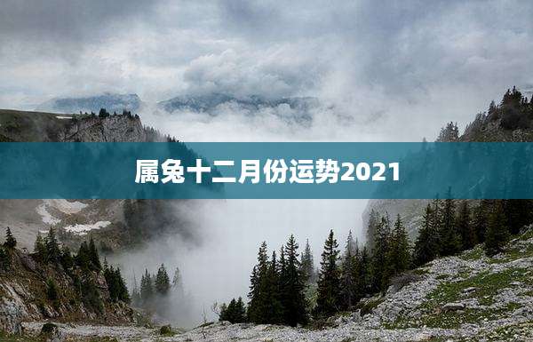 属兔十二月份运势2021